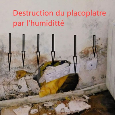 Expertise humidité